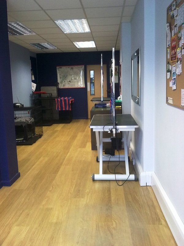 Facilities Hair Off The Dog Groomers